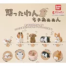 【日本正版授權】全套5款 生氣小狗公仔 扭蛋/轉蛋 生氣的狗/憤怒的狗 動物模型 745935