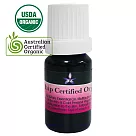 Body Temple 有機玫瑰果油(Rose hip)10ML