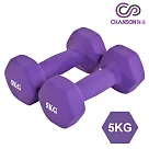 【強生CHANSON】彩色鑄鐵六角啞鈴(5KG─2支入)