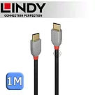 LINDY 林帝 ANTHRA USB 2.0 Type─C 公 to 公 傳輸線 1m (36871)