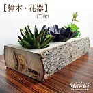 【YACHT 遊艇精品文創】樟木 . 花器 (三盆)──(不包含植物)三盆無樹皮