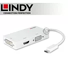 LINDY 林帝 主動式 USB3.1 Type─C to HDMI/DVI/VGA 三合一轉接器 (43273)