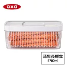 美國OXO 蔬果活性碳長鮮盒─4.7L 01040147