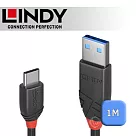 LINDY 林帝 Black USB 3.2 Gen 2 Type─C/公 to Type─A/公 傳輸線 0.5m (36915)