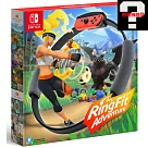 NS 任天堂 Switch 健身環 台灣公司貨