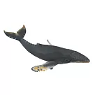 【永曄】883472 collectA 座頭鯨