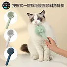 摩達客─日式質感寵物按壓式一鍵除毛按壓式梳圓頭斜角針梳/按摩美容梳/自動退毛貓狗梳 藍色(BU)