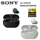 SONY 索尼 WF─1000XM5 主動式降噪 真無線入耳式耳機 台灣公司貨 黑色