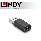 LINDY 林帝 USB 3.2 Gen2 Type─A/公 to Type─C/母 轉接頭 (41904)