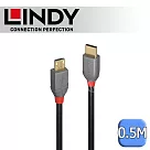 LINDY 林帝 ANTHRA USB 2.0 Type─C/公 to Micro─B/公 傳輸線 0.5m (36890)