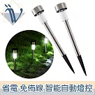 Viita 戶外露營庭院自動照明太陽能感應燈/插地燈/草坪燈 2入