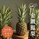 【禾鴻】高雄金鑽鳳梨10斤x1箱(4─6顆/箱)