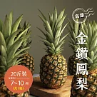 【禾鴻】高雄金鑽鳳梨20斤x1箱(7─10顆/箱)