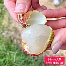 預購【荔莊果園】高雄大樹剪枝玉荷包36mm特級大果禮盒(5斤/盒_冷藏宅配_產地直送 )