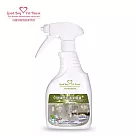 【GBPH好寶貝】玻璃皂垢清潔噴霧500ml《共九款香氛可選 》 薄荷檸檬
