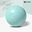 【Tumaz月熊健身】25cm皮拉提斯 瑜珈小球 海洋綠