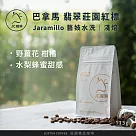 【JC咖啡】巴拿馬 翡翠莊園 紅標 Jaramillo Bosque 藝妓 水洗 咖啡豆1包│淺焙─1/4磅(115g)莊園咖啡 新鮮烘焙