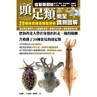 頭足類完全識別圖解：29種常見頭足類全解析