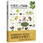 中國茶入門圖鑑：從喝茶到懂茶的中國茶文化手冊