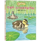 鳥的生態繪本系列3：花嘴鴨，為什麼最喜歡媽媽？