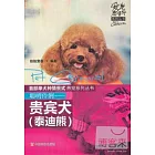 聰明伶俐-貴賓犬（泰迪熊）