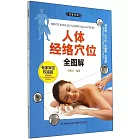 人體經絡穴位全圖解