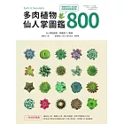 多肉植物‧仙人掌圖鑑800 (電子書)