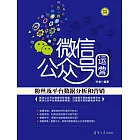 微信公眾號運營：粉絲及平臺資料分析和行銷 (電子書)