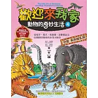 歡迎來我家！動物的奇妙生活4（恐龍、鳥與哺乳類）：從怪牙、異爪、長翅膀到雙腳站立，60種傳奇動物的生存大對決 (電子書)