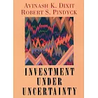 Investment Under Uncertainty