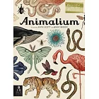 Animalium: Welcome to the Museum