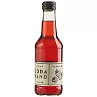 【Macarn 馬卡恩】有機果汁味氣泡飲-覆盆子(250ml/瓶)