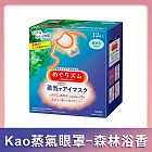 【Kao花王】NEW蒸氣眼罩- 12枚入 森林浴香
