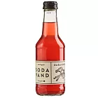 【Macarn 馬卡恩】綜合果汁味氣泡飲-大黃(250ml/瓶)