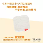 【TiANN】鈦好擦 擦拭布 小-單入/毛巾/擦手巾/眼鏡布 15x15cm