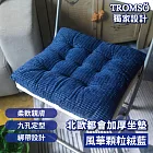 TROMSO北歐都會加厚坐墊 風華顆粒絨藍