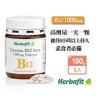 Herbafit 維生素B12 1000mcg 錠狀 (180顆X5罐) 狂歡雙11滿額雙重送 高單位 素食者必備 長效穩定吸收