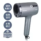 Panasonic國際牌奈米水離子吹風機 EH-NA9N