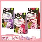 【vilson 米森】乳酸菌咬咬優格人氣莓莓三入組