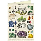 美國 Cavallini & Co. Greeting Cards 卡片/萬用卡  _水晶礦石