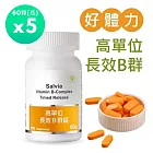 【SALVIA】Salvia高單位長效B群錠(純素)5瓶共300顆