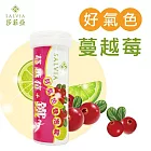 【SALVIA】Salvia 蔓越莓+鐵好氣色發泡錠1瓶共10錠