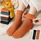 【AnZa】仿山羊絨加絨加厚保暖地板襪中筒襪(3入組)     A組(白、橘、黑)