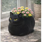 【日本Green House】可愛趴坐貓咪  裝飾小盆栽 ‧ 黑貓