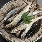 永豐餘生技GREEN&SAFE-船凍柳葉魚