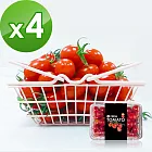 樂活e棧-爆甜多汁-小紅帽番茄4盒(600g/盒)