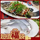【海大王】超值福袋W組(鮮凍白鯧400-500g*2+ 極品鮮凍大石斑700-800g*2)