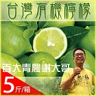 【梁山水泊】鮮採有機檸檬