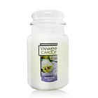 YANKEE CANDLE香氛蠟燭-婚禮祝福 Wedding Day(623g) 新版