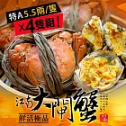 【優鮮配】特A規格鮮活江南大閘蟹4隻(5.5兩/隻)免運組